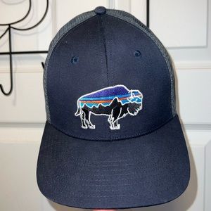 Patagonia Blue Fitz Roy Bison Trucker Hat